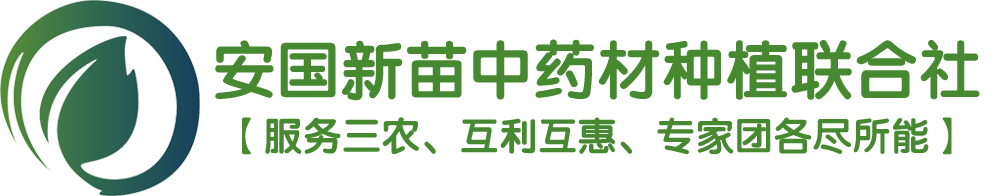 安國(guó)新苗中藥材種植農(nóng)民專業(yè)合作社