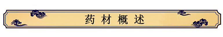 中藥材【藥食同源】——白扁豆