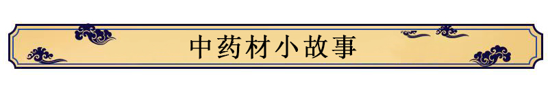 中藥材【養(yǎng)生保健】——木香